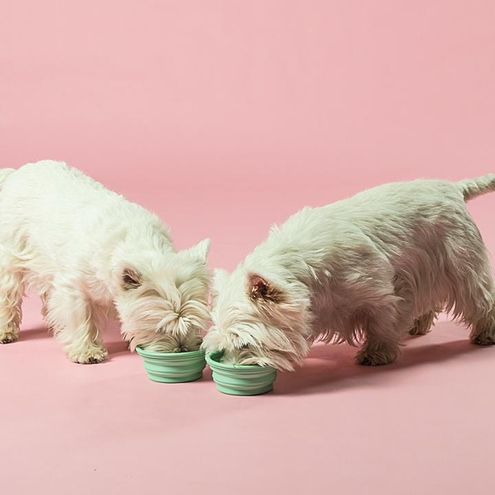 Ecoanniepooh HEVEA® Bowl On The Go