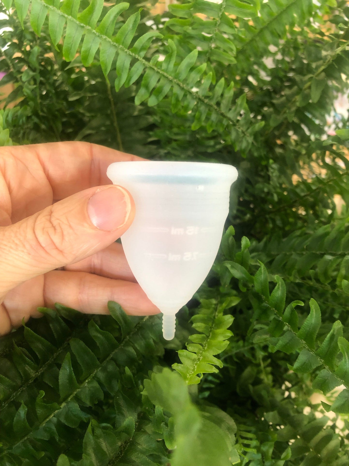 Ecoanniepooh Large (over 30 or have given birth vaginally) Pure silicone Menstrual Cup