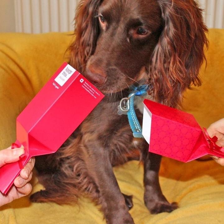 Ecoanniepooh Reusable Christmas Crackers (Plastic Free)