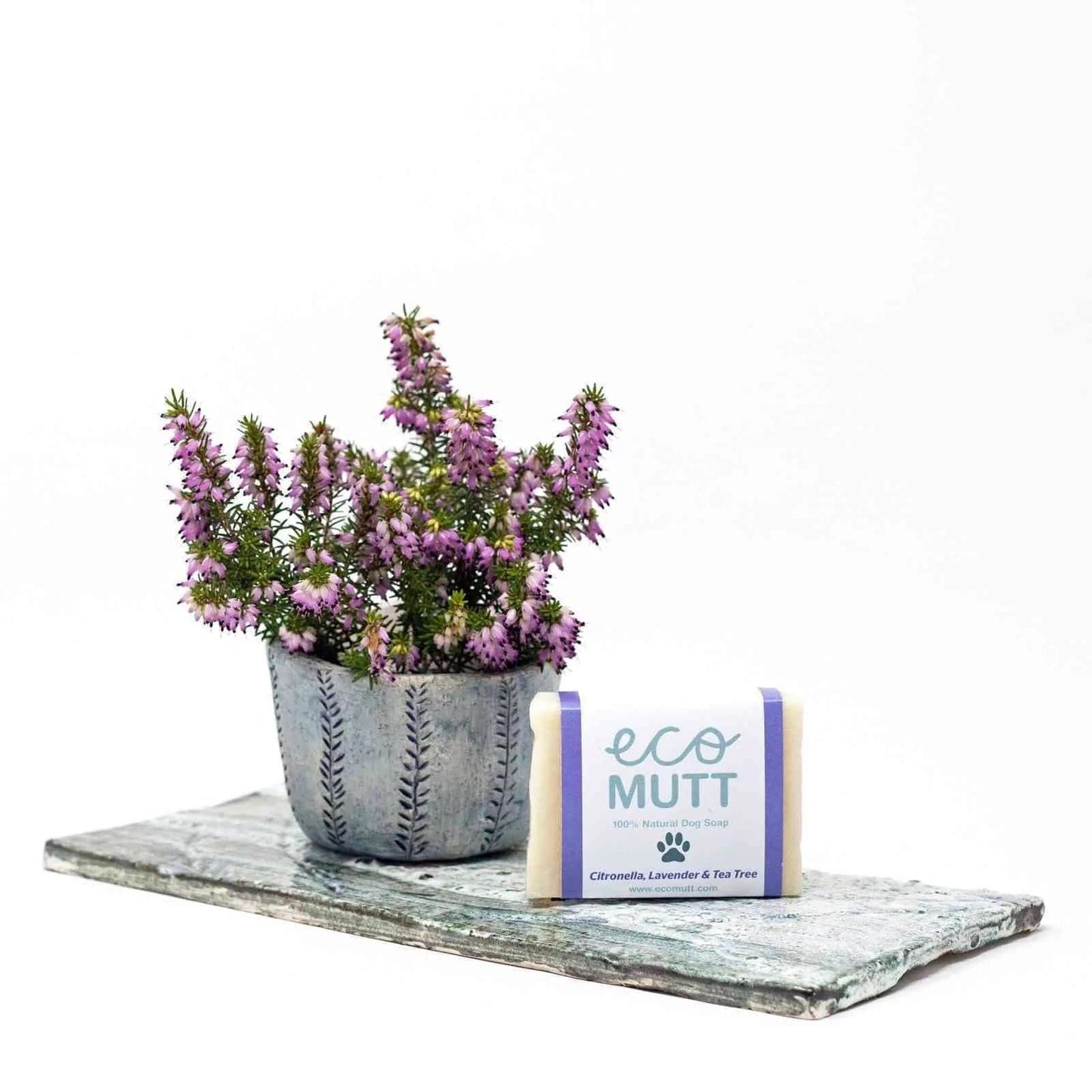 Ecomutt Ecomutt Dog Gift Set