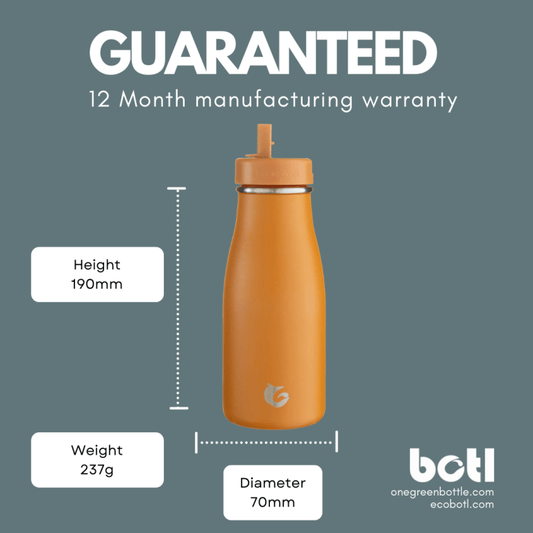 One Green Bottle reusable drink bottle Toffee Stainless steel Evolution insulated bottle 350ml