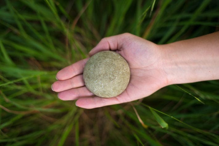 Three Hills Oily hair - Nettle and Lavender Three Hills Solid Shampoo Refill