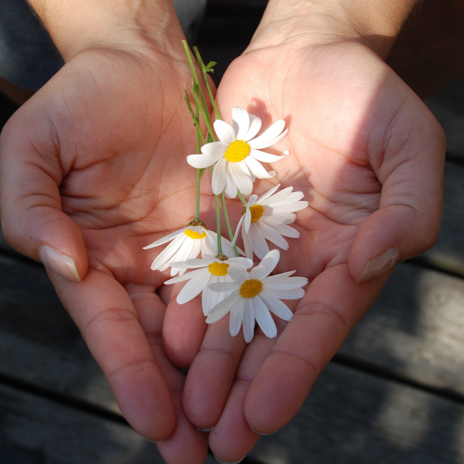 Natural Hand Care