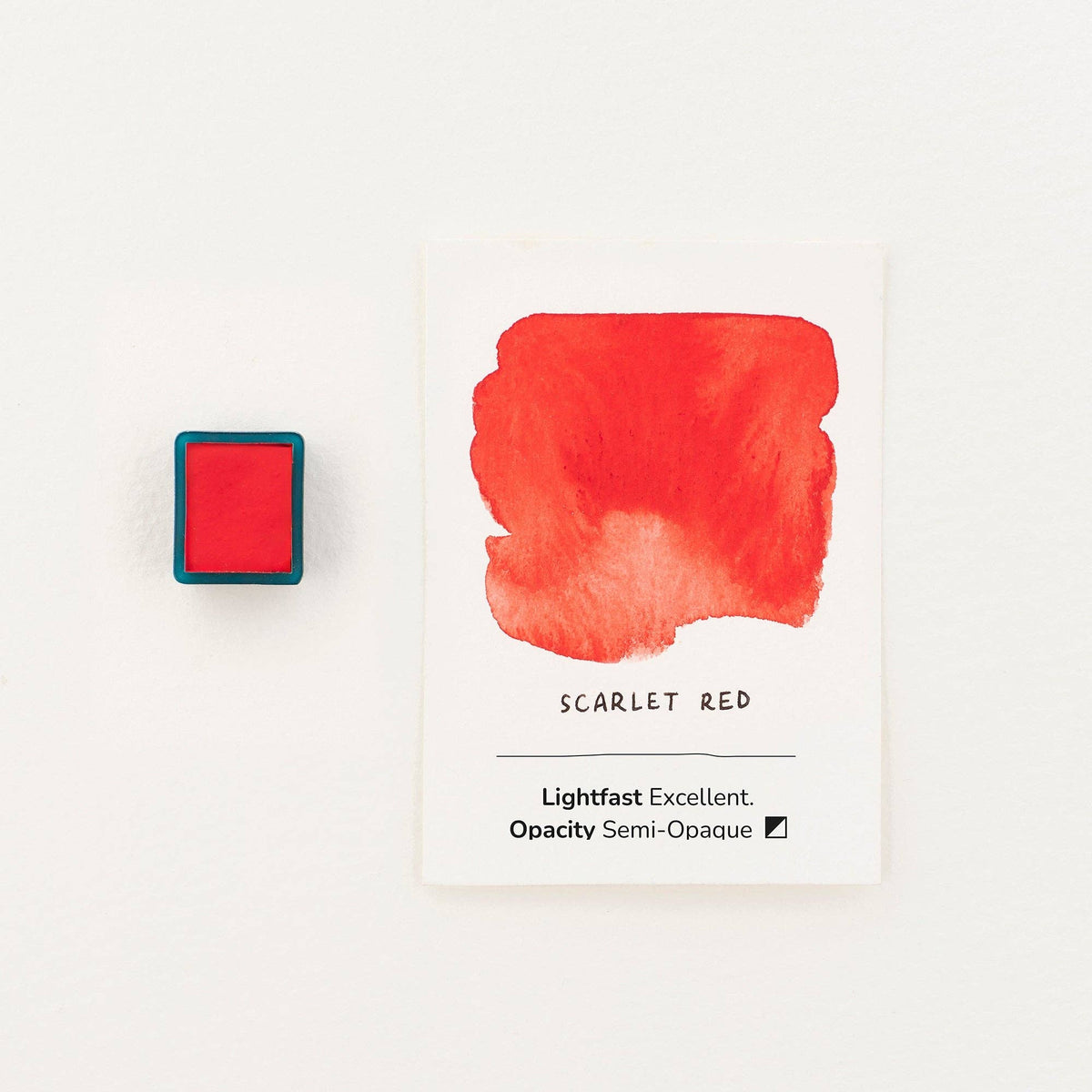Tom's Studio Signature Watercolour Collection