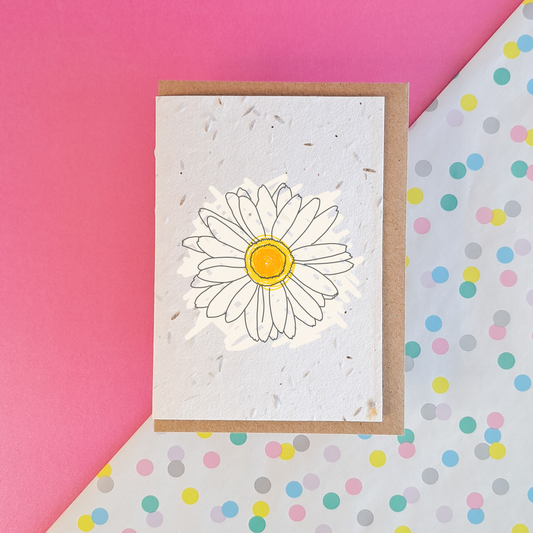 Wonky Cards Greeting card Daisy Notelet - Plantable Seed Card